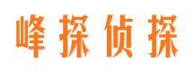 旬阳市私家侦探